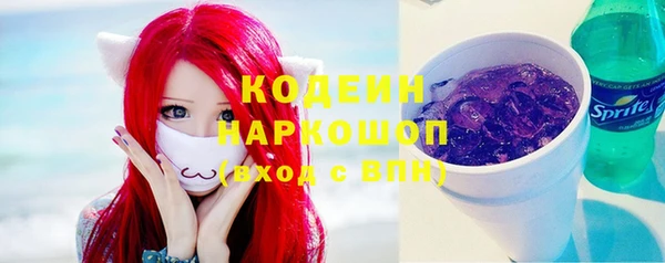 прущий лед Алзамай