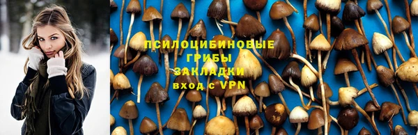 синтетический гашиш Алексин